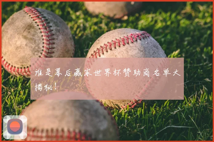 谁是幕后赢家世界杯赞助商名单大揭秘！