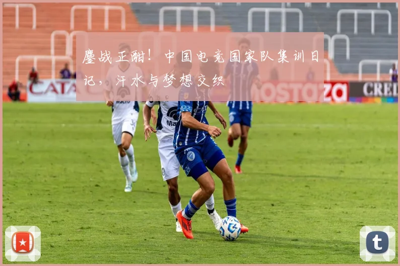 鏖战正酣！中国电竞国家队集训日记，汗水与梦想交织