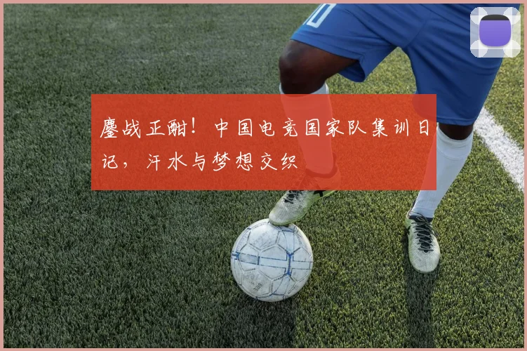 鏖战正酣！中国电竞国家队集训日记，汗水与梦想交织